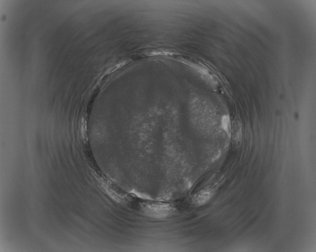 X0000081470669200702021834