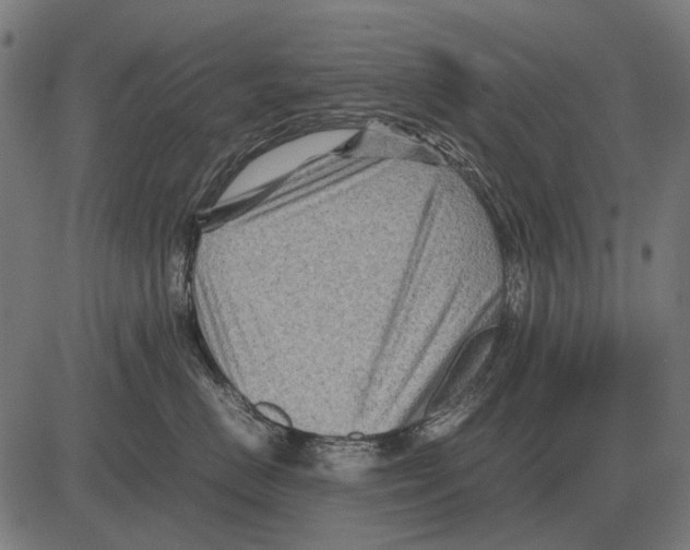 X0000081470670200702021834