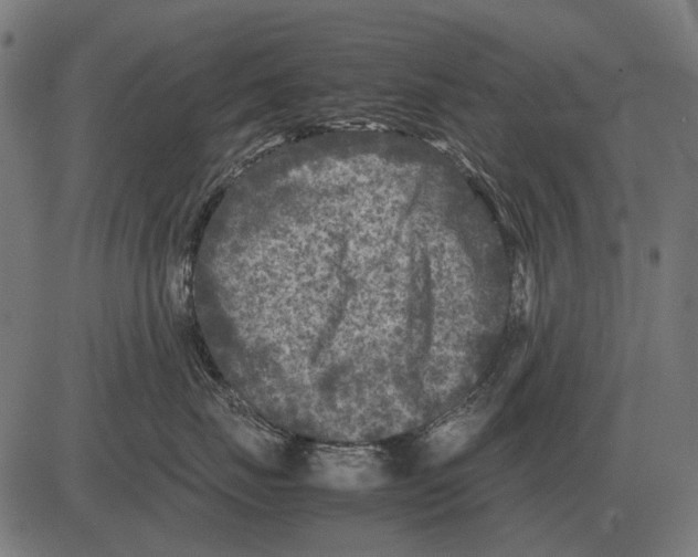 X0000081470671200702021834