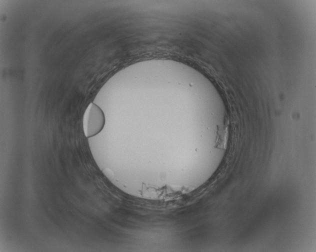 X0000081470672200702021834