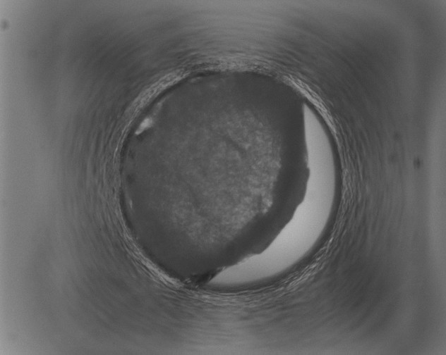 X0000081470673200702021833