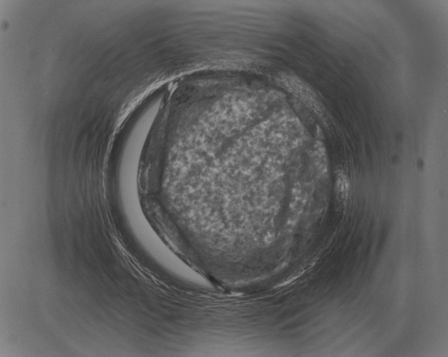 X0000081470676200702021833