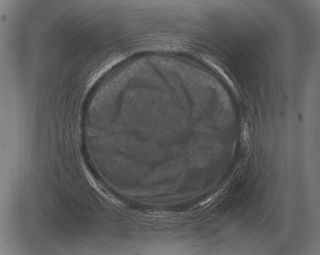 X0000081470677200702021833