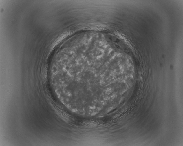 X0000081470679200702021833