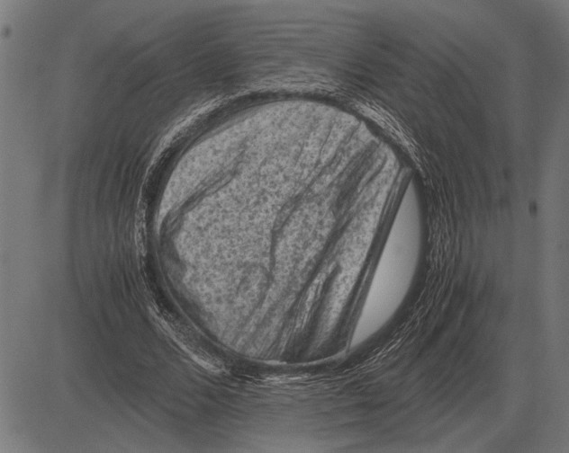 X0000081470680200702021833