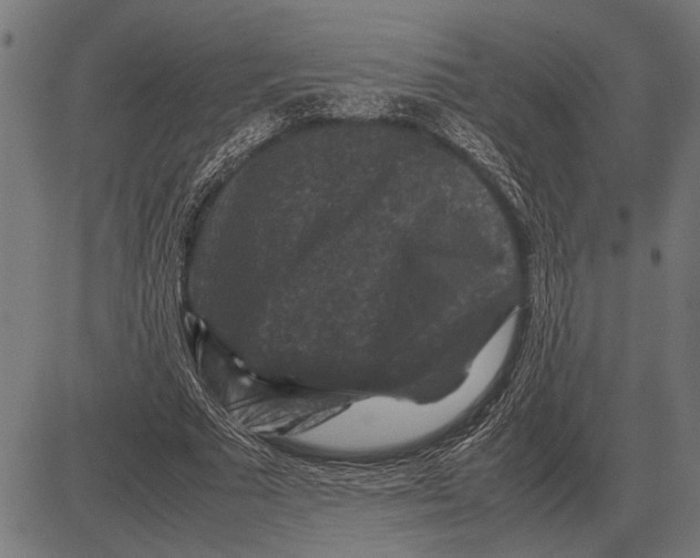 X0000081470681200702021833