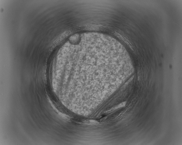 X0000081470682200702021833