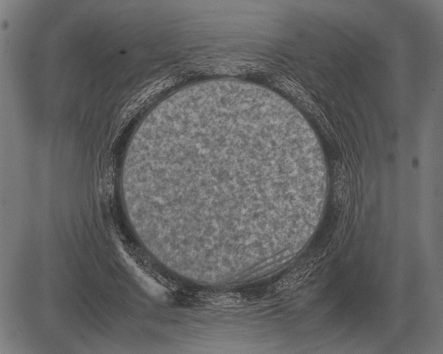 X0000081470683200702021833