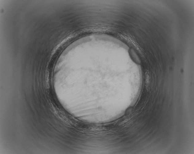 X0000081470684200702021833