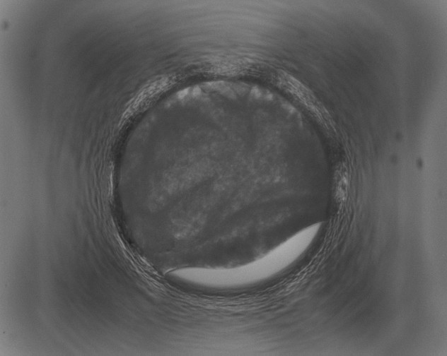 X0000081470685200702021833