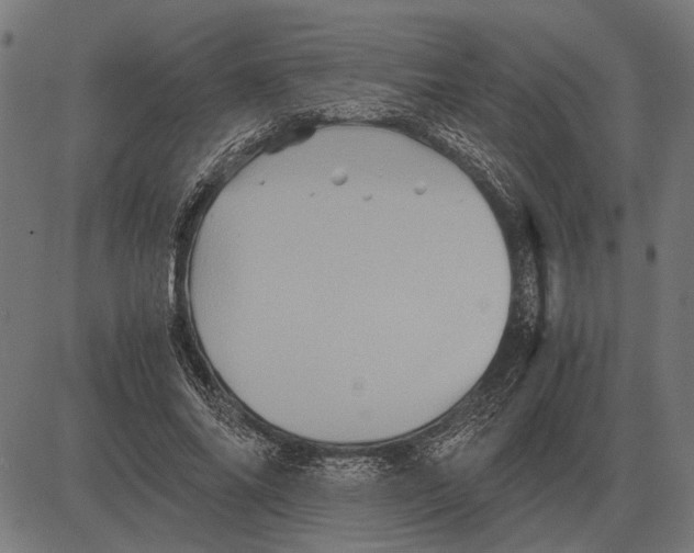 X0000081470686200702021833