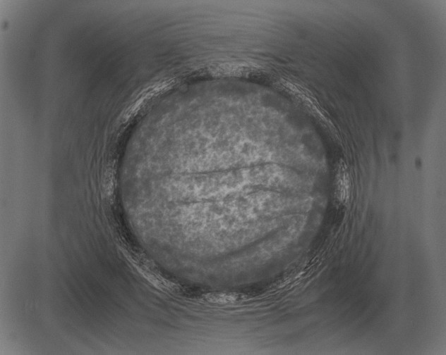 X0000081470687200702021833