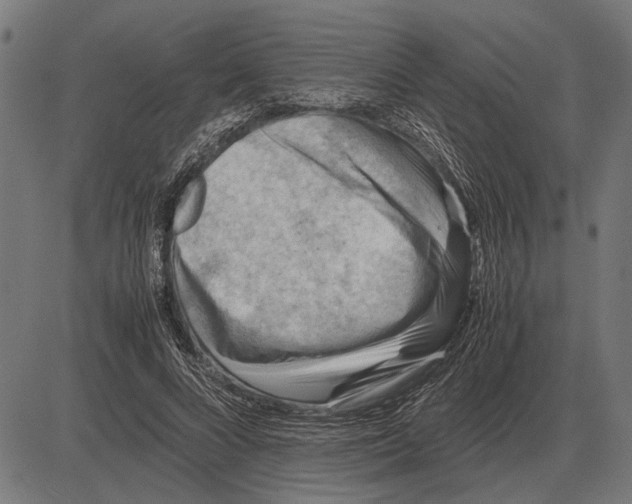 X0000081470688200702021833