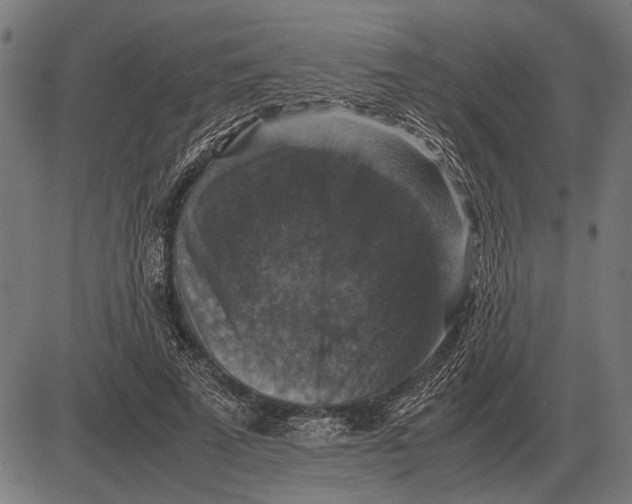 X0000081470689200702021833