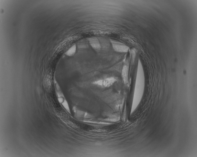 X0000081470691200702021833