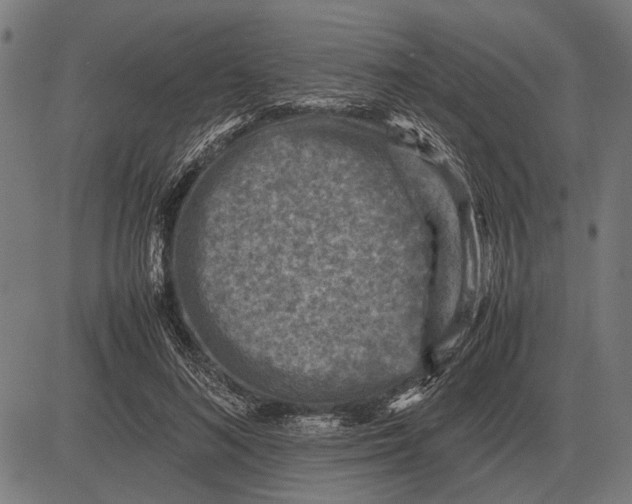 X0000081470692200702021833