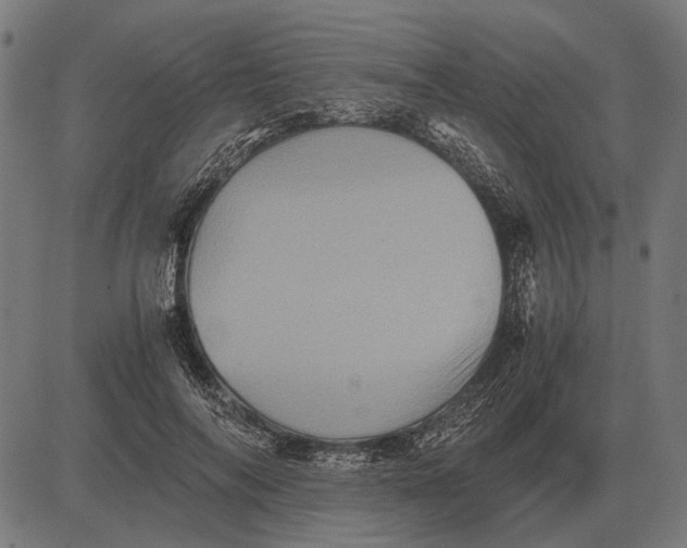 X0000081470694200702021833