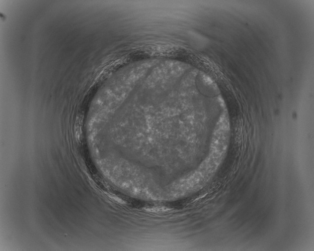 X0000081470695200702021833