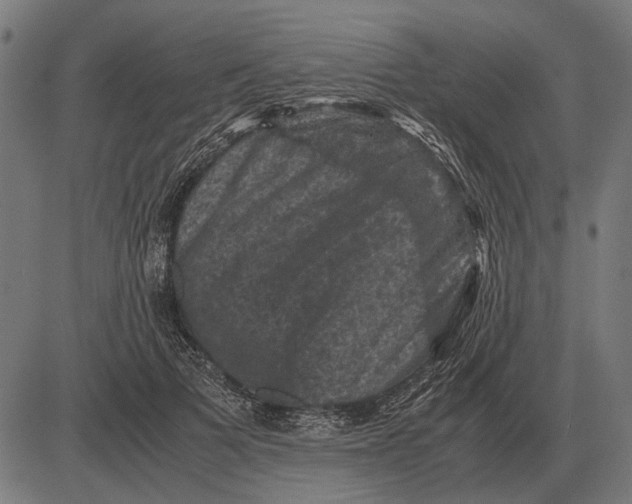 X0000081470697200702021833