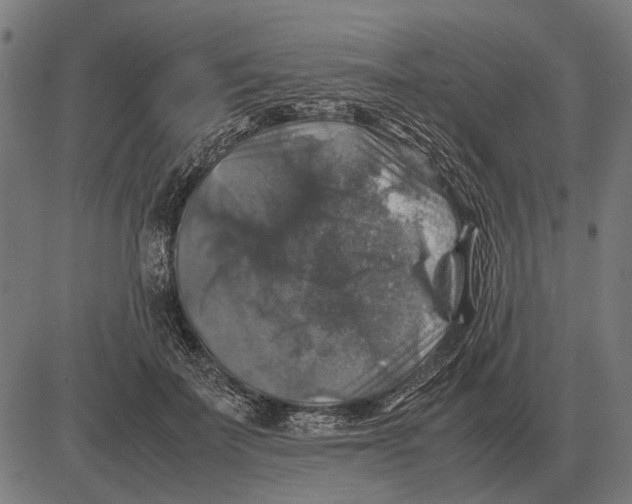 X0000081470699200702021832