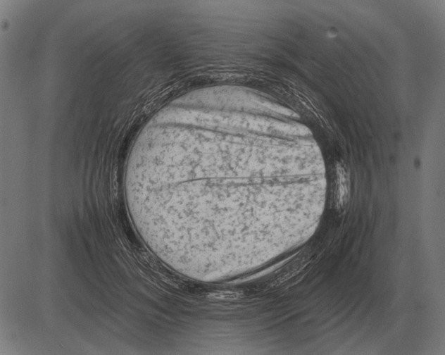 X0000081470700200702021832