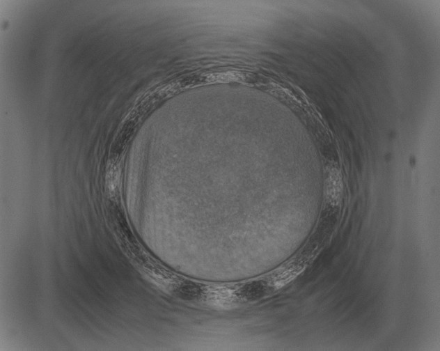 X0000081470701200702021832