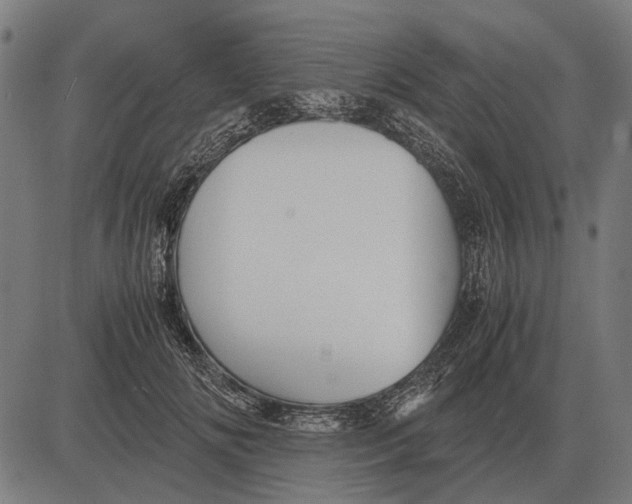 X0000081470702200702021832