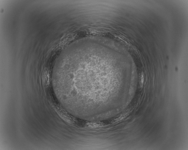 X0000081470703200702021832