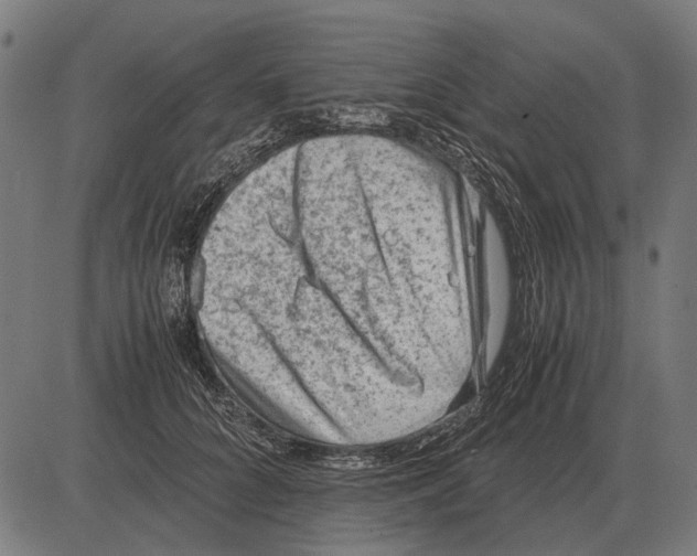 X0000081470704200702021832