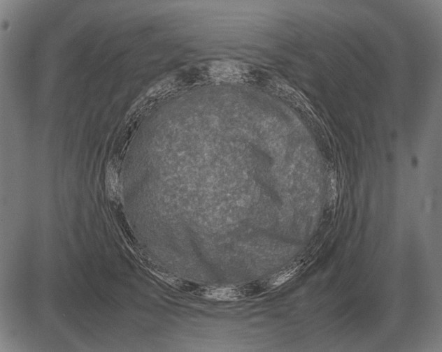 X0000081470705200702021832