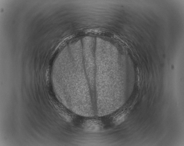 X0000081470708200702021832