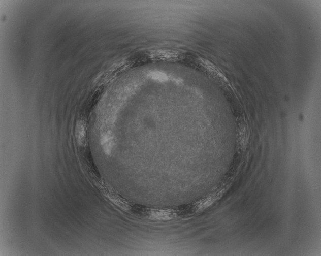 X0000081470709200702021832