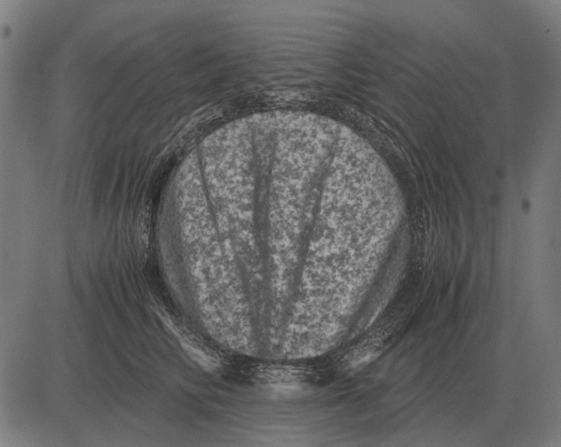 X0000081470710200702021832