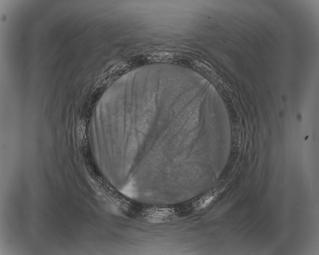 X0000081470711200702021832