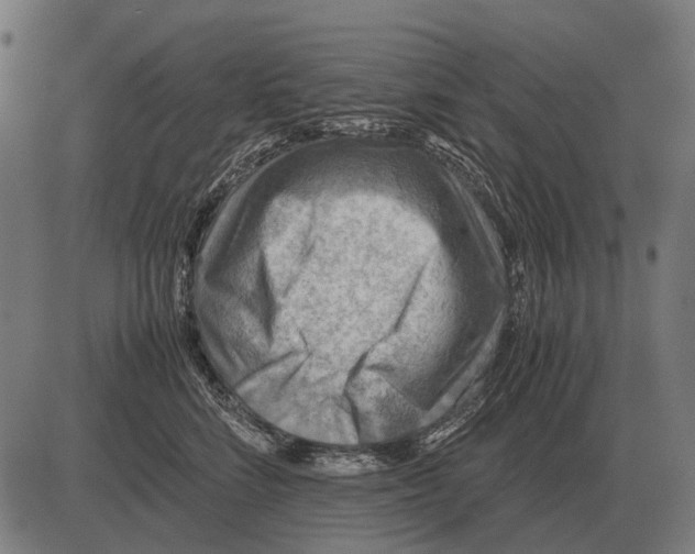 X0000081470712200702021832