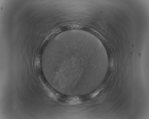 X0000081470715200702021832