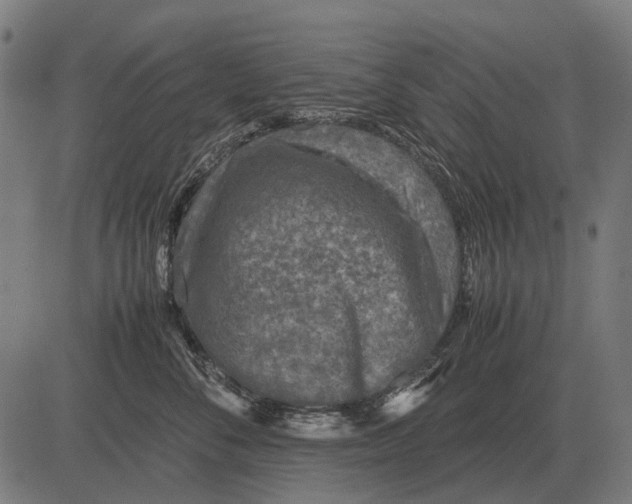 X0000081470716200702021832