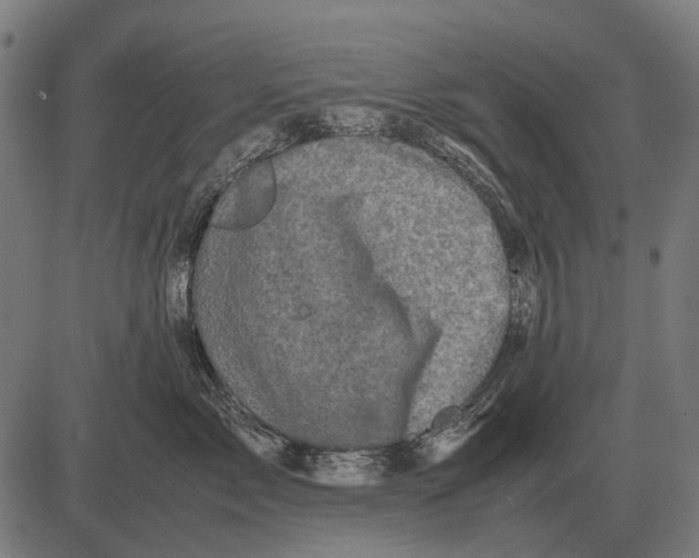 X0000081470717200702021832