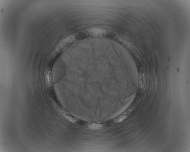 X0000081470718200702021832