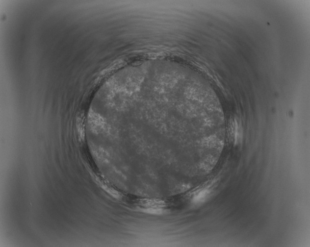 X0000081470719200702021832