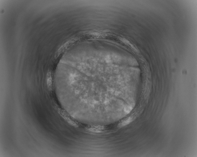 X0000081470720200702021832