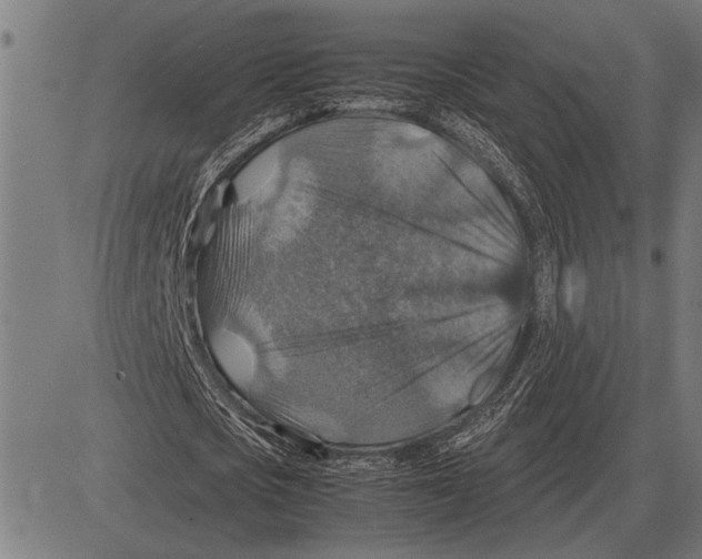 X0000081470721200702021831