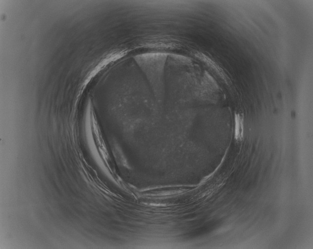 X0000081470723200702021831