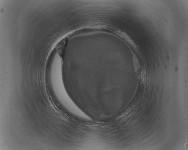 X0000081470724200702021831