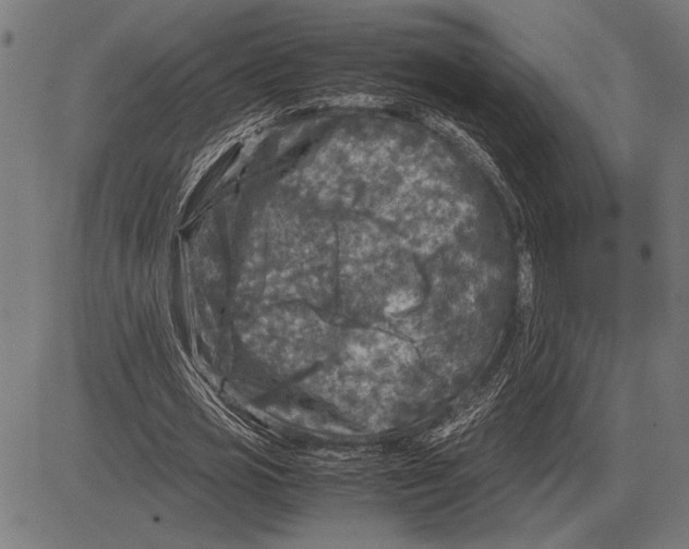 X0000081470725200702021831