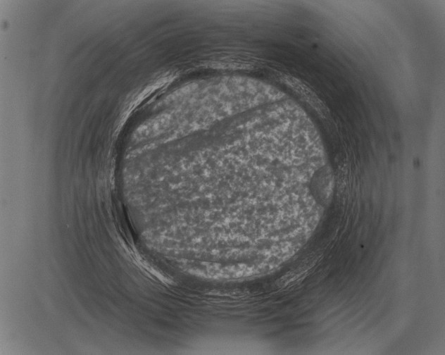 X0000081470727200702021831