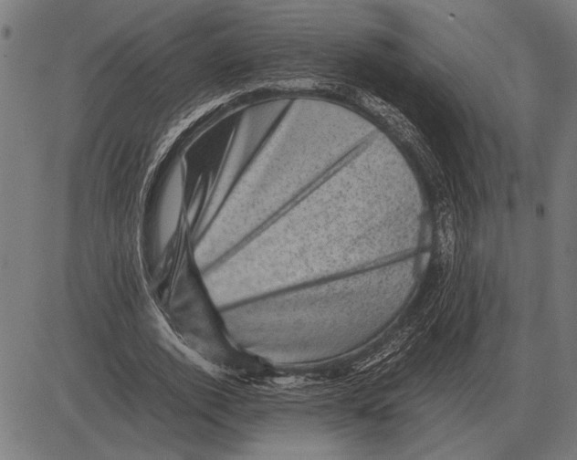 X0000081470728200702021831