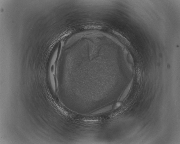 X0000081470729200702021831