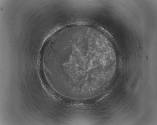 X0000081470730200702021832