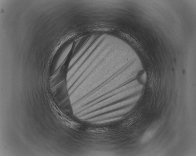 X0000081470731200702021832